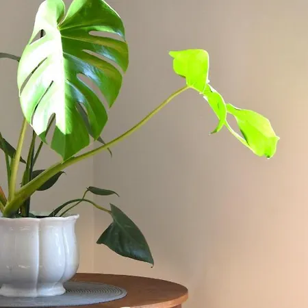 アパート Urocze Przestronne,w Idealnej Lokalizacji