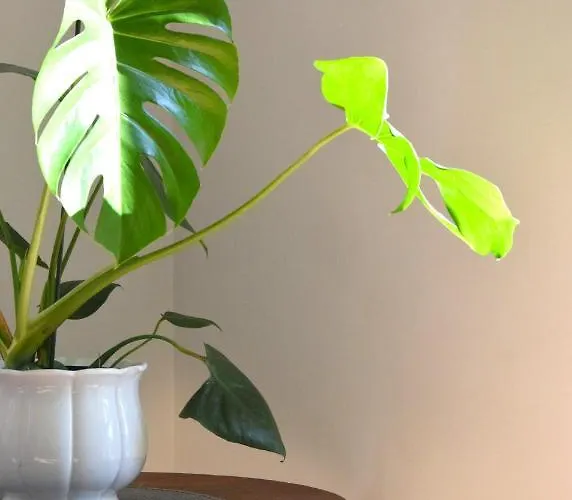 Apartment Urocze Przestronne,w Idealnej Lokalizacji